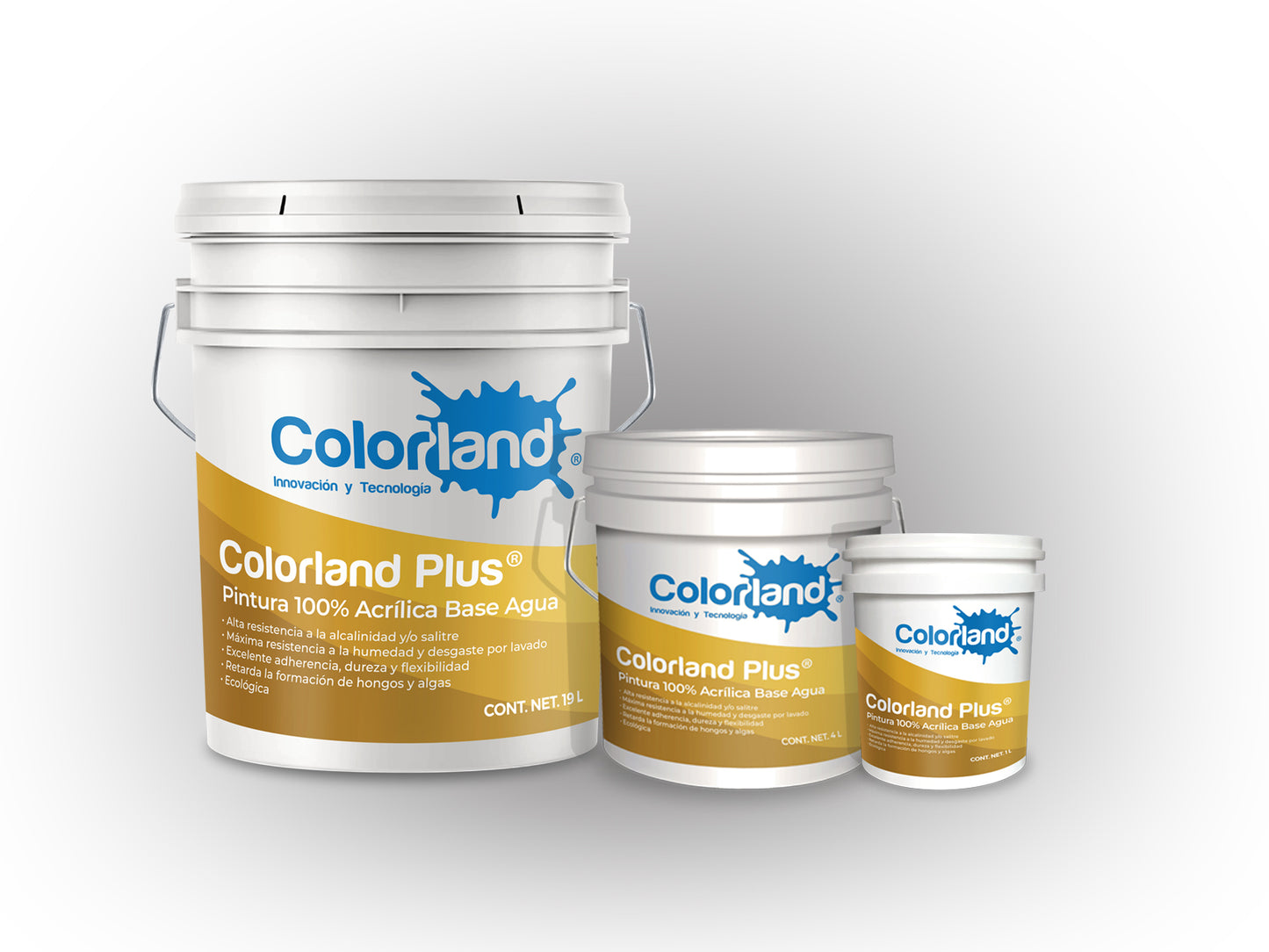 Colorland Plus
