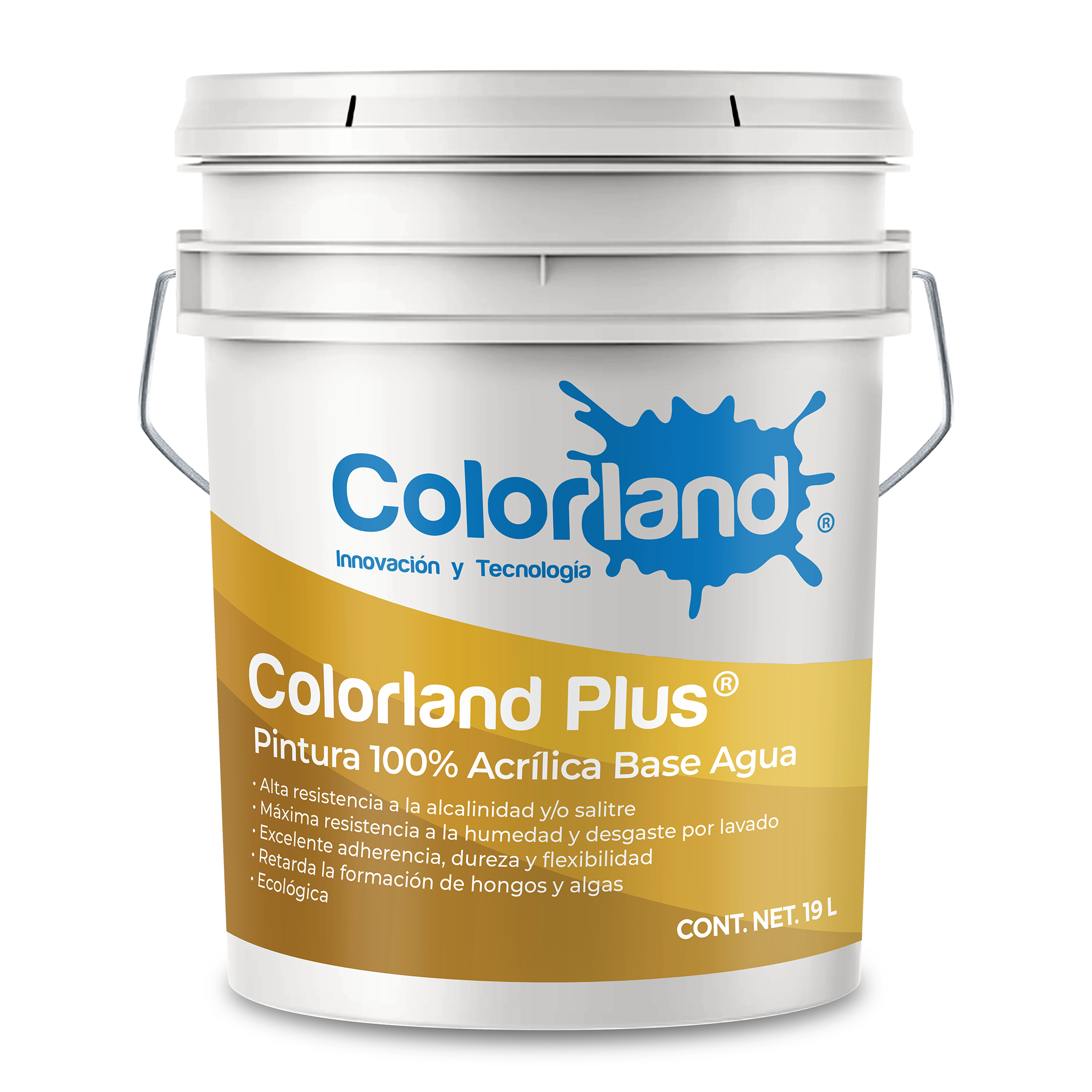 Colorland Plus
