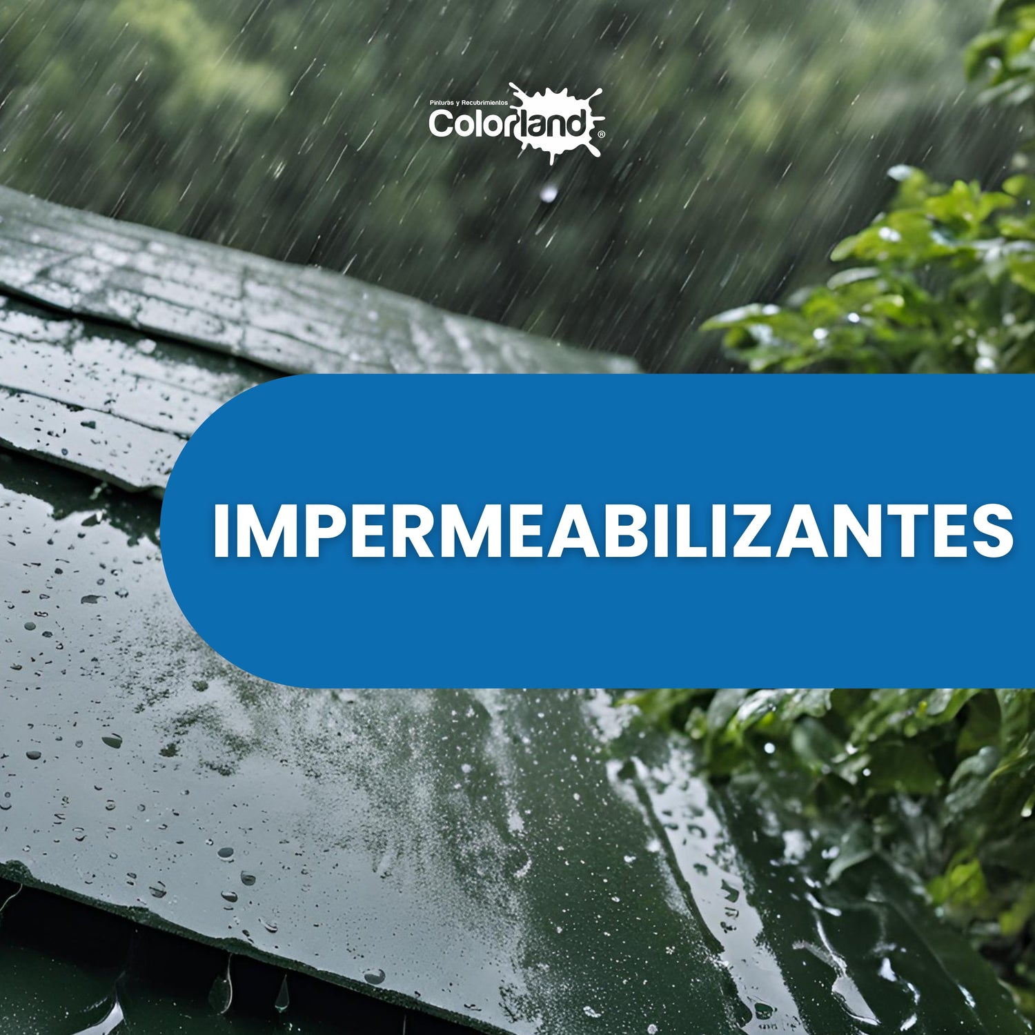 Impermeabilizantes