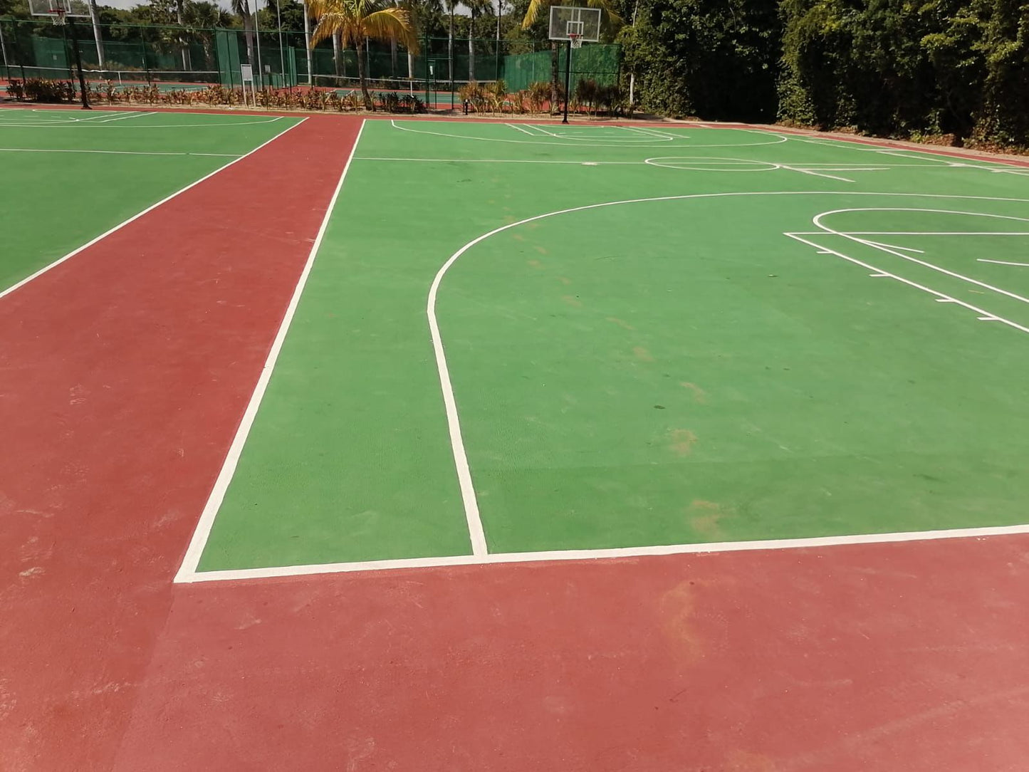 Colorland Sport MAX AR-700