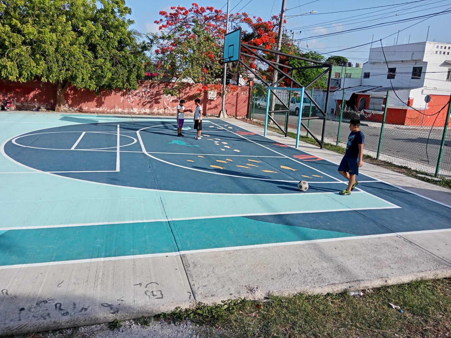 Colorland Sport MAX AR-700